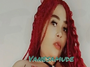 Vanesamude