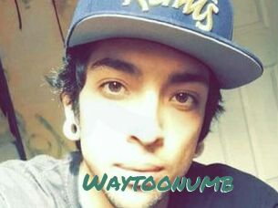 Waytoonumb