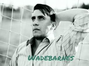 Wadebarnes