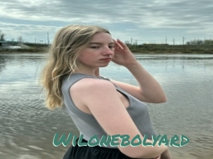 Wilonebolyard
