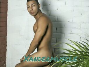 Xandermuscle