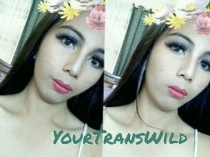 YourTransWild