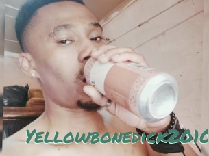 Yellowbonedick2010