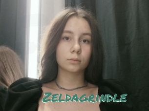 Zeldagrindle